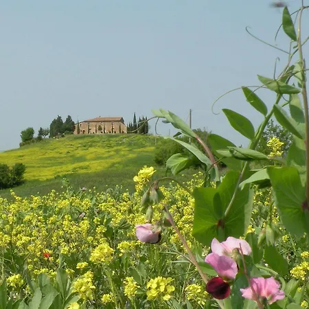 Bonello * Pienza